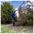 Hyundai HY20CPS 20V Cordless Pole Saw