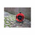 Faithfull FPPCR20240