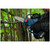 Bosch 06008D700 GKE 18V-15 Professional 18V Pruner Saw (Body Only)