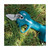 Makita DUP181Z