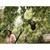 Fiskars FSK1001562 Fruit Picker