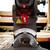 Excel 11734 10" 255mm Sliding Mitre Saw Double Bevel 2000W 240V with Laser