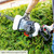 Scheppach HTH250/240P Hedge Trimmer 700W