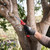 Milwaukee 4932500646 Compact Straight Folding Saw