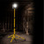 Defender DF1200- 20W LED Single Head Work Light with Telescopic Tripod 110V