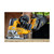 DeWalt DCS334N