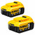 DeWalt DCF899P2