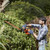 Black & Decker BEHT201 Hedge Trimmer
