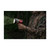 Milwaukee M12 12v Cordless Spot Light Bare Unit