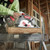 Milwaukee 4932471932 20B 40T TCT Circular Saw Blade