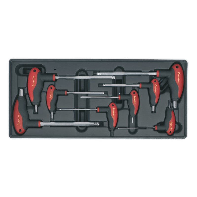 Sealey TBT06 Tool Tray with T-Handle Ball-End Hex Key Set 8pc