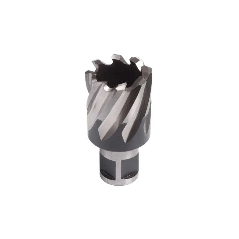 Evolution 18S Short Broaching Cutter 18mm
