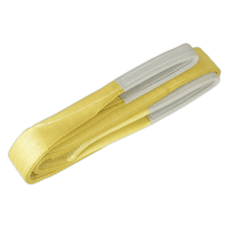 LS3005