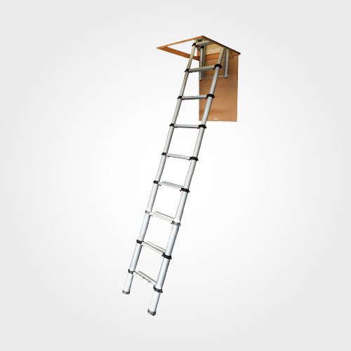 Loft Ladders