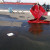 ECCOTARP Magnetic Drain Cover MDC ECCOTARP Magnetic Drain Cover MDC