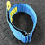 1-3/4" Single Hose Strap - Blue