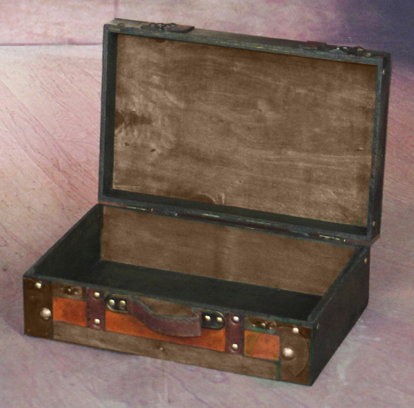 suitcase with straps