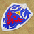 Legend of Zelda Shield of Link The Hylian Master Shield