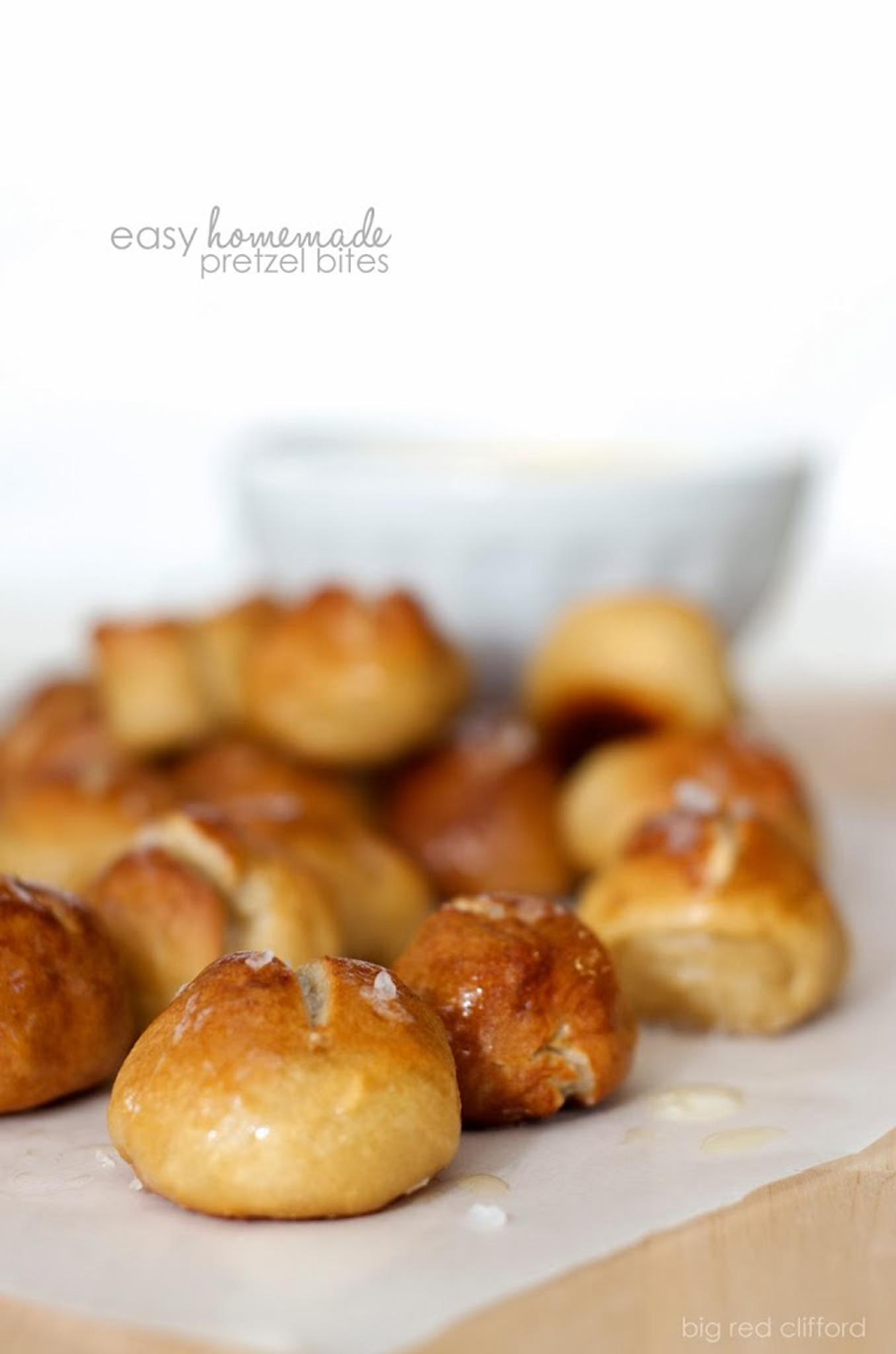 Pretzel Bites & Jalapeño Cheese Dip