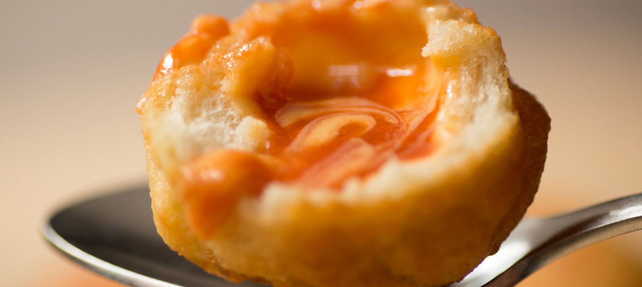 GRILLED CHEESE TOMATO SOUP DUMPLINGS