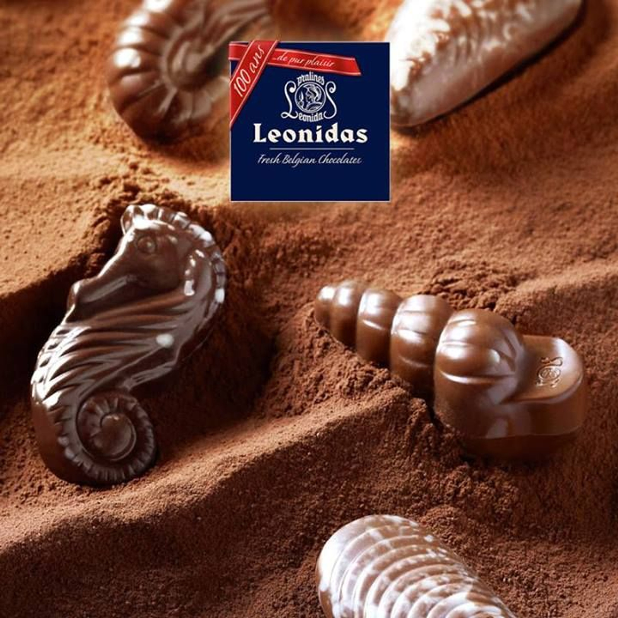 belgian gourmet chocolate