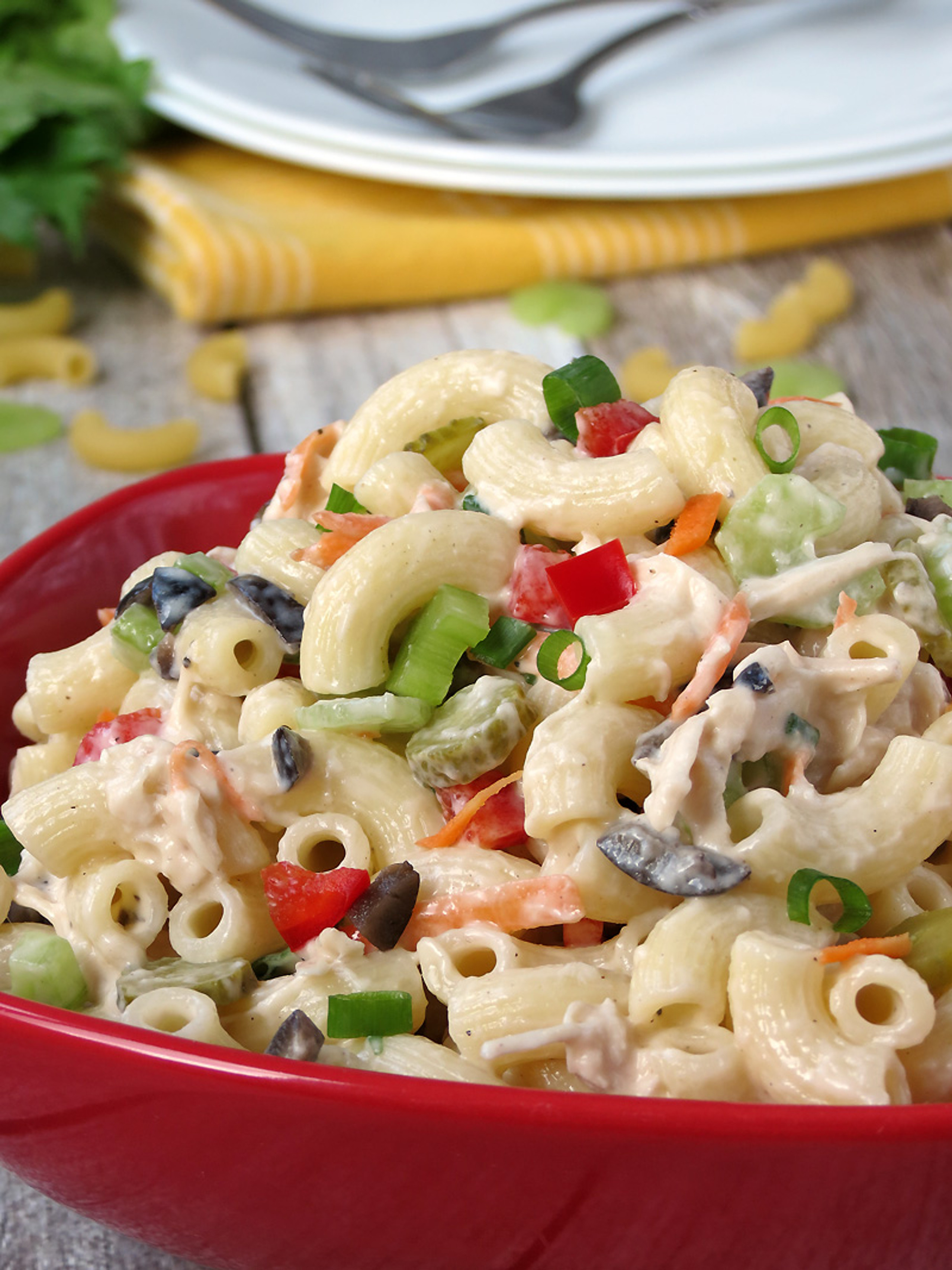 Chicken Macaroni Salad 7892