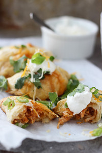 Chicken Enchilada Empanadas Chicken Enchilada Empanadas