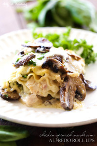 Chicken Spinach Mushroom Alfredo Roll Ups Chicken Spinach Mushroom Alfredo Roll Ups