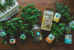 The Family Farmhouse Gift Set - Back to the Roots The Family Farmhouse Gift Set - Back to the Roots