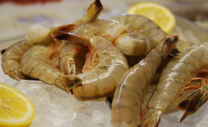 Fresh Carolina Shrimp XL 21 -25 ct - per pound Fresh Carolina Shrimp XL 21 -25 ct - per pound