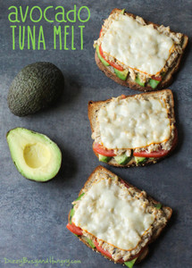 Avocado Tuna Melt Avocado Tuna Melt