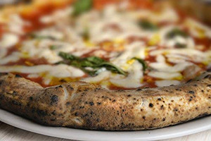Antimo Caputo Gluten Free Pizza Flour - 2.2 lb - All Natural Multi Purpose Flour & Starch Blend for Baking Pizza, Bread, & Pasta Antimo Caputo Gluten Free Pizza Flour - 2.2 lb - All Natural Multi Purpose Flour & Starch Blend for Baking Pizza, Bread, & Pasta