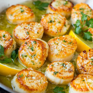 Sea Scallops - 1 lb pack Sea Scallops - 1 lb pack