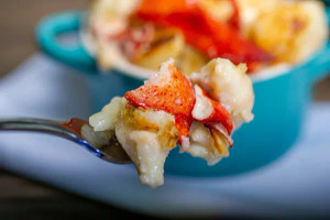 Maine Lobster Mac & Cheese - 26 oz Maine Lobster Mac & Cheese - 26 oz
