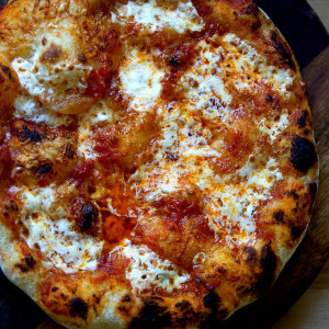 Gluten Free Sourdough Pizza Dough Balls - includes 10 Gluten Free Sourdough Pizza Dough Balls - includes 10