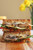 THE ULTIMATE GRILLED VEGGIE SANDWICH THE ULTIMATE GRILLED VEGGIE SANDWICH