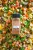Essential Spices Bundle - Primal Palate