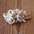 Organic Kamut® Khorasan Wheat Pasta - many noodle shapes available Organic Kamut® Khorasan Wheat Pasta - many noodle shapes available