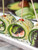 ASIAN CUCUMBER ROLLS WITH SHRIMP, AVOCADO AND WASABI AIOLI {GF, DF} ASIAN CUCUMBER ROLLS WITH SHRIMP, AVOCADO AND WASABI AIOLI {GF, DF}