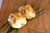 Mini Chicken Wellington – 50 Pieces per Tray