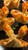 Crab Rangoon - 35 pieces per tray