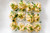 Crab Rangoon Deviled Eggs Crab Rangoon Deviled Eggs