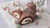 Forrest Yule Log Cake Bûche de Noël Forrest Yule Log Cake Bûche de Noël