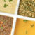 Organic Variety Pack Soup and Broth, Vegan, Gluten-free, Dairy-free, Soy-free - French Lentil, Curried Cauliflower, Tuscan White Bean, Vegan Bone Broth, Tunisian Tomato, Butternut Lentil Bisque - Pack of 12 Organic Variety Pack Soup and Broth, Vegan, Gluten-free, Dairy-free, Soy-free - French Lentil, Curried Cauliflower, Tuscan White Bean, Vegan Bone Broth, Tunisian Tomato, Butternut Lentil Bisque - Pack of 12