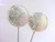 Champagne Lollipops, many flavors & designs, 6 included (as seen in Brides Magazines)