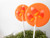 Candy Corn Gourmet Lollipops - Set of 7