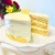 White Cake Mix, Now, that’s Cake! Gluten-Free • Rice-Free • Top 9 Allergen-Free • Vegan