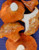 Fresh Lobster Mushrooms, 8 oz