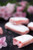 Fossier Rose Biscuits of Reims (Biscuits Roses de Reims) in Clear Sachet, 250g