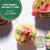 Croc’In Belgian Fuchsia Mini Tart Shells | Vegan, Edible Cups | 60/Case